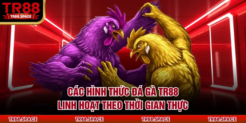 Các hình thức đá gà TR88 linh hoạt theo thời gian thực